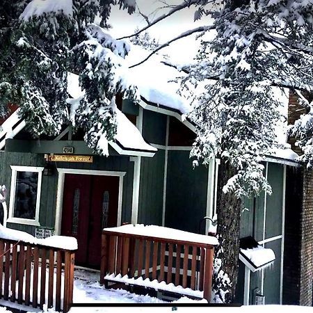 Hallelujah Forest Villa Big Bear Lake Exterior photo